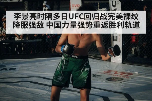 UFC octagon fight