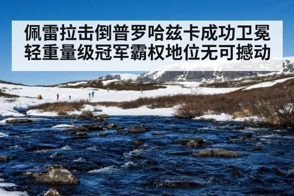 佩雷拉击倒普罗哈兹卡成功卫冕轻重量级冠军霸权地位无可撼动